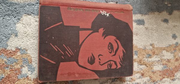 Не дом, но мир. Повесть об Александре Коллонтай