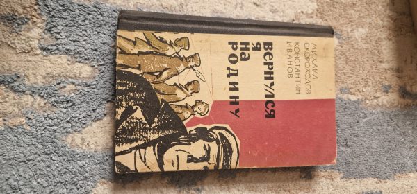 Вернулся я на родину
