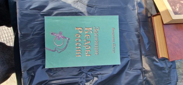 Звенящие Кедры России